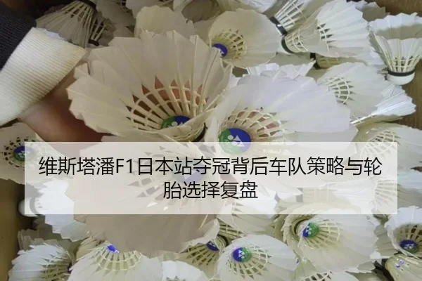 维斯塔潘F1日本站夺冠背后车队策略与轮胎选择复盘