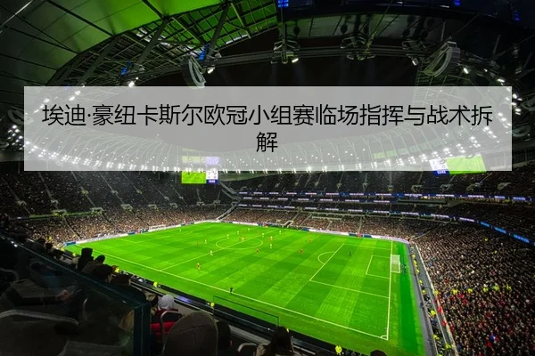 埃迪·豪纽卡斯尔欧冠小组赛临场指挥与战术拆解 - haixing